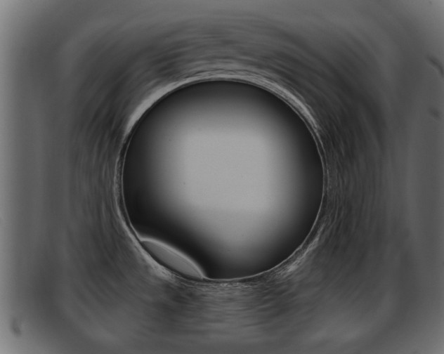 X0000093361533200710111259