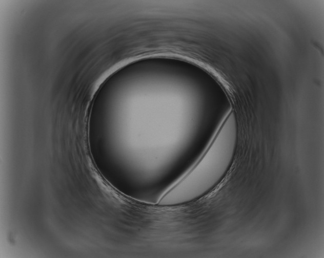 X0000093361534200710111259