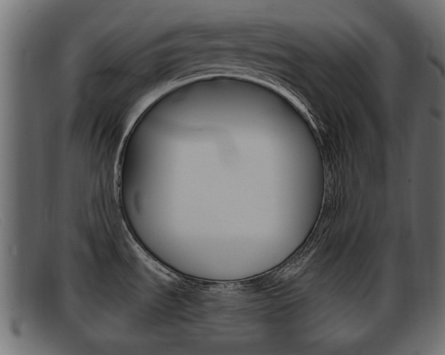 X0000093361535200710111259