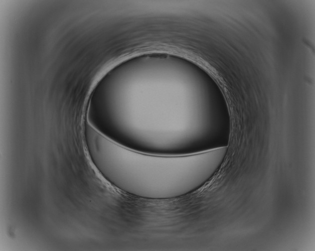 X0000093361536200710111259