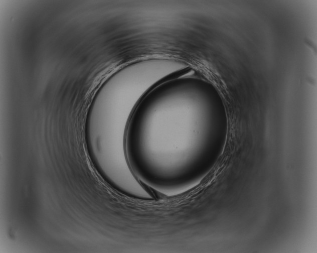 X0000093360001200710111503