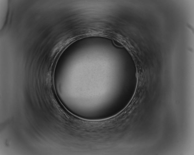 X0000093360002200710111503