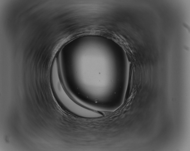 X0000093360003200710111503