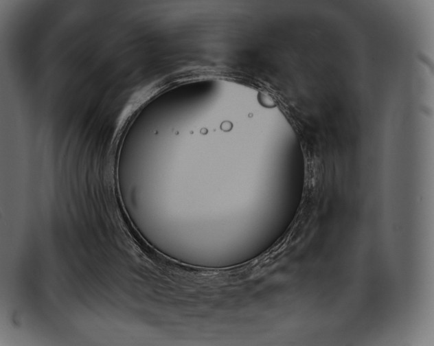 X0000093360004200710111503