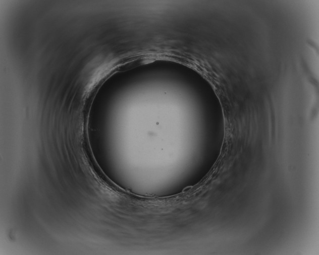 X0000093360005200710111503