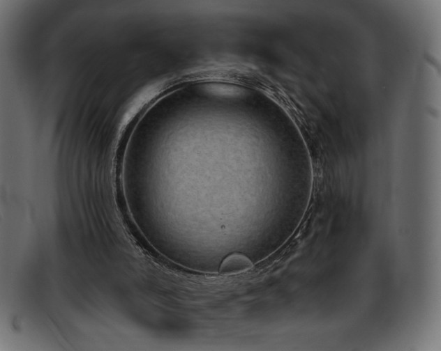 X0000093360006200710111503
