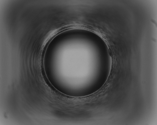X0000093360007200710111503