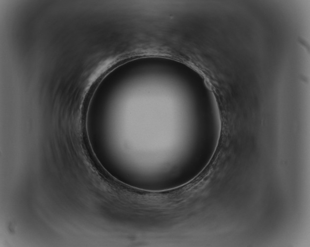 X0000093360008200710111503