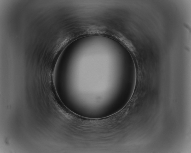 X0000093360009200710111503