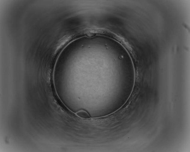 X0000093360010200710111503