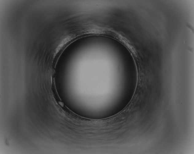 X0000093360011200710111503