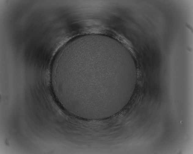 X0000093360012200710111503