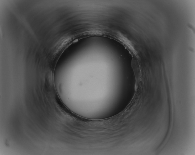 X0000093360013200710111503