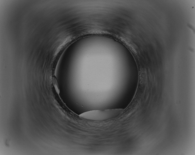 X0000093360015200710111503