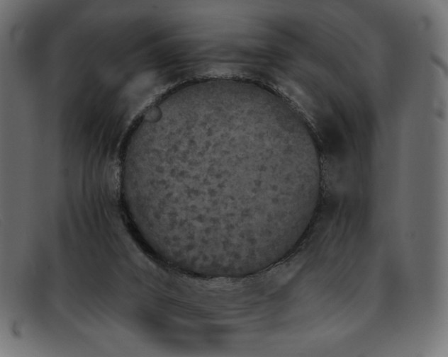 X0000093360016200710111503