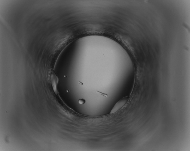 X0000093360017200710111503