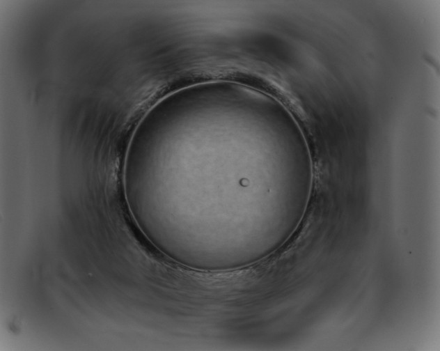 X0000093360018200710111503