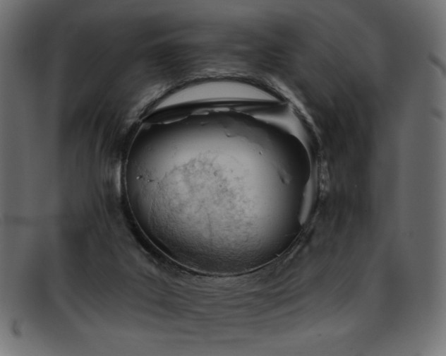 X0000093360019200710111503