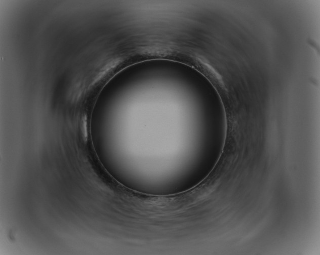 X0000093360020200710111503