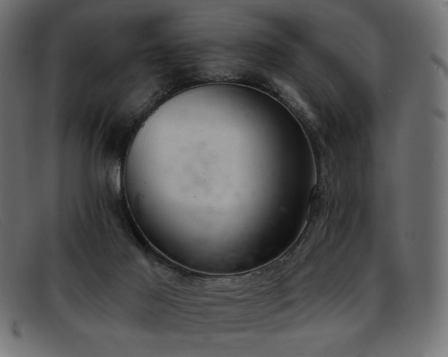 X0000093360021200710111503