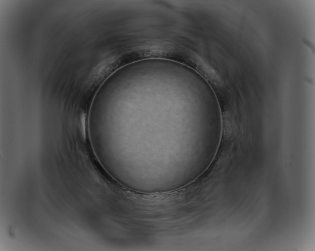 X0000093360022200710111503