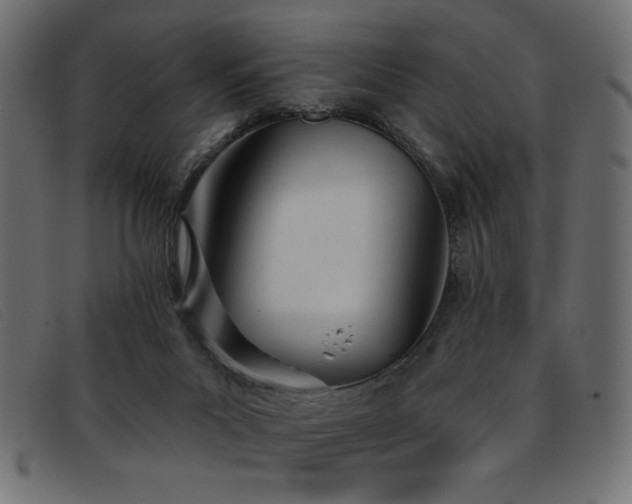 X0000093360023200710111503