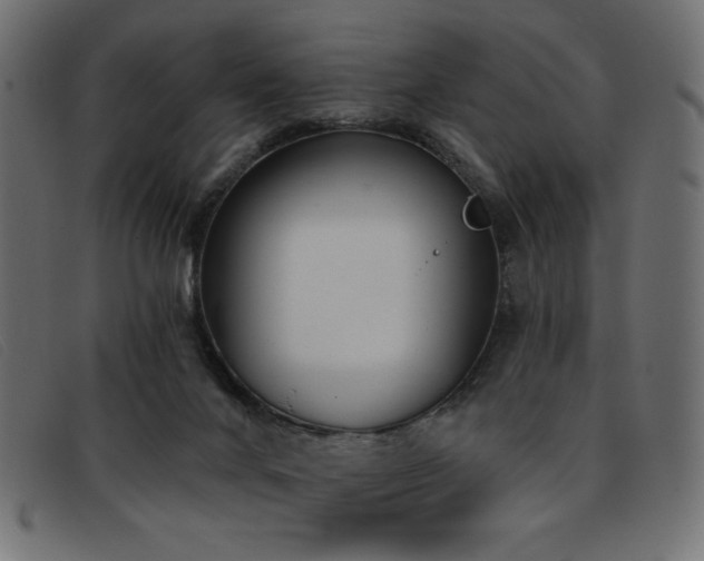 X0000093360024200710111503