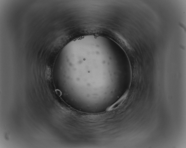 X0000093360025200710111503