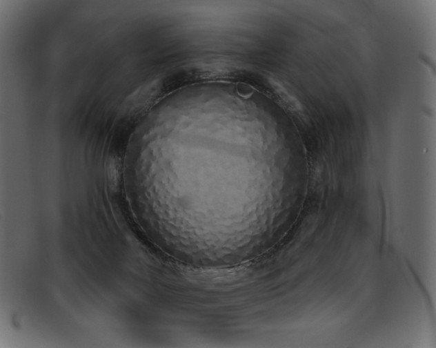 X0000093360026200710111503