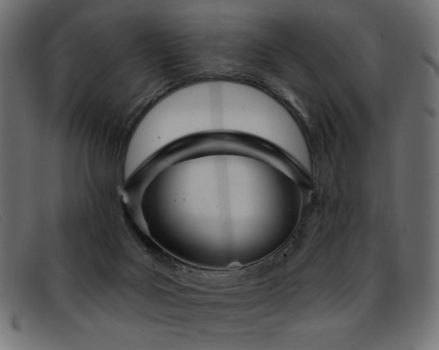 X0000093360027200710111503