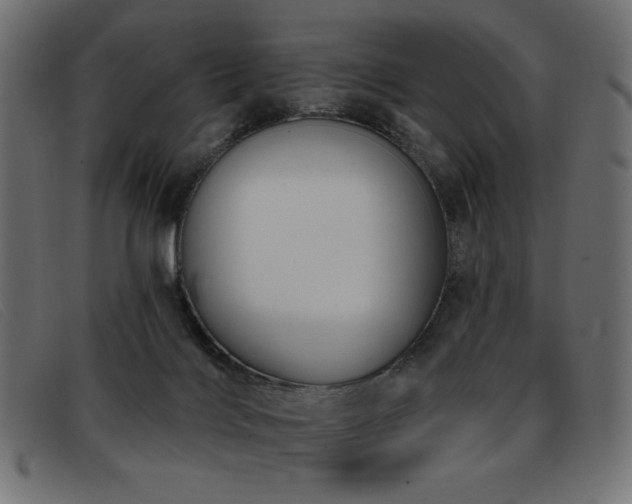 X0000093360028200710111503