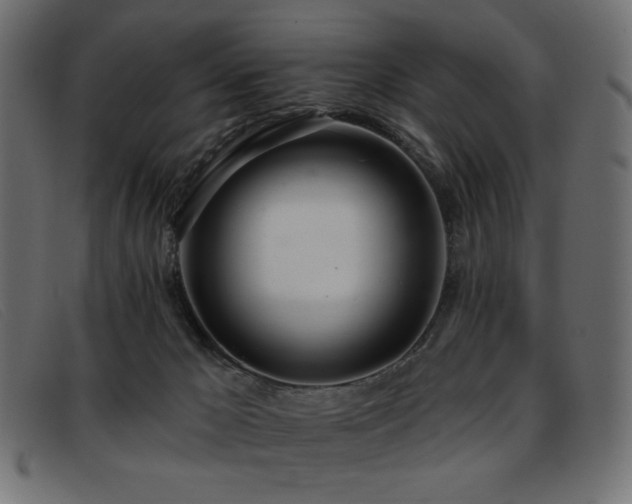 X0000093360029200710111503