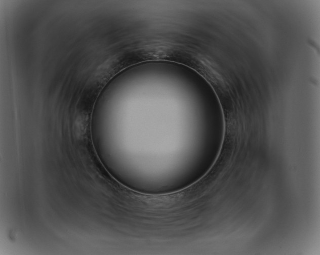 X0000093360030200710111503