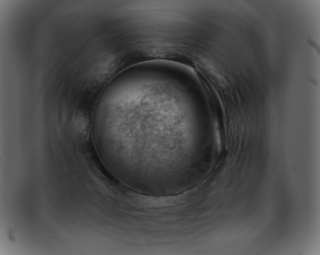 X0000093360031200710111503