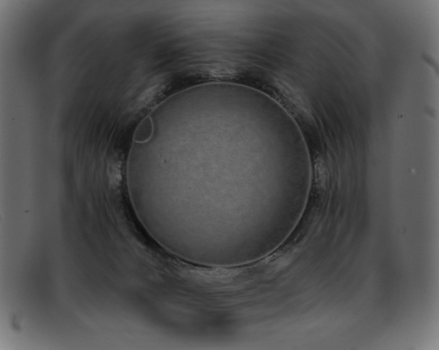 X0000093360032200710111503