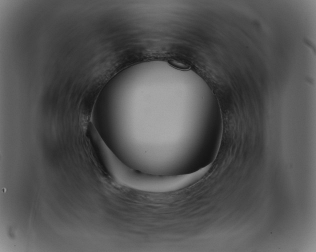 X0000093360033200710111503
