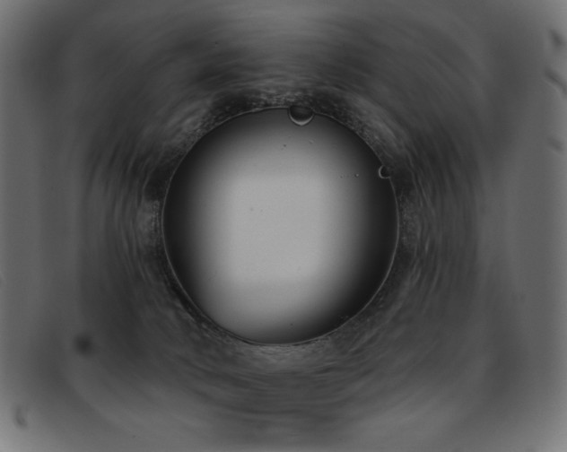 X0000093360034200710111503