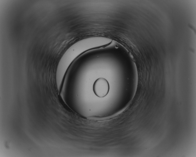 X0000093360035200710111503