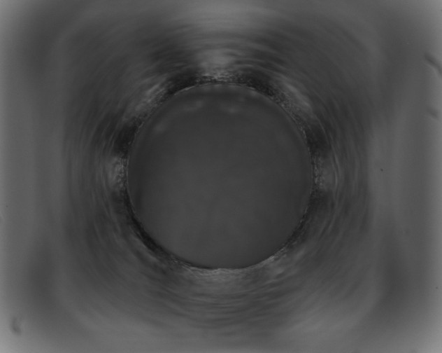 X0000093360036200710111503