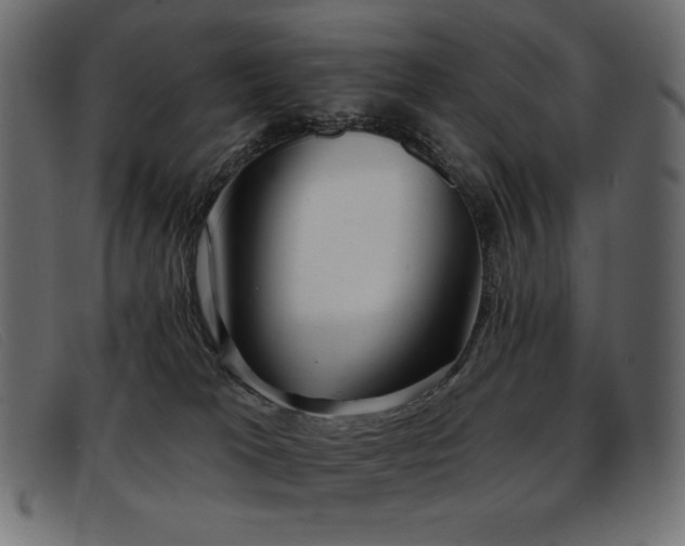 X0000093360037200710111502