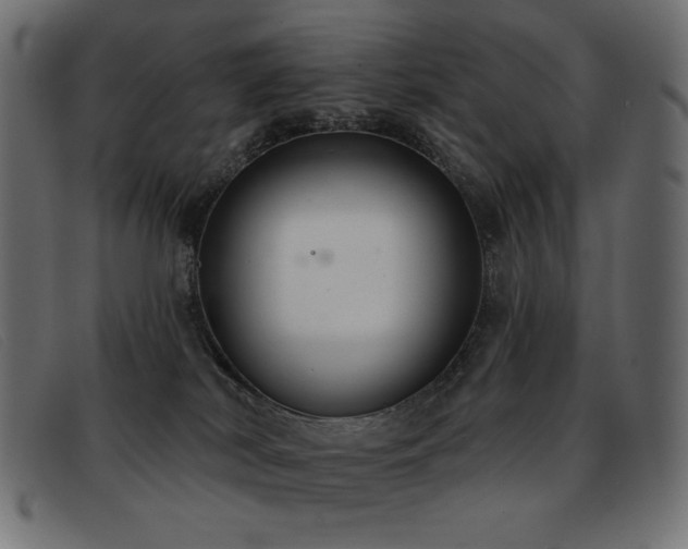 X0000093360038200710111502