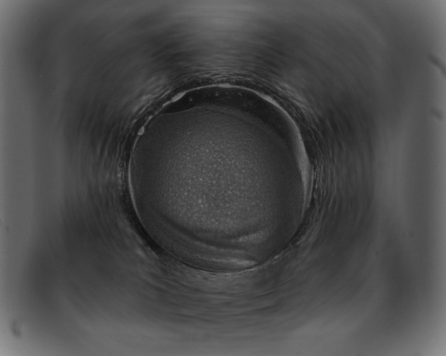 X0000093360039200710111502
