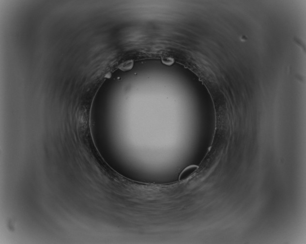 X0000093360040200710111502