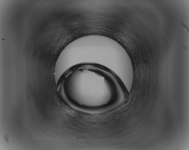 X0000093360041200710111502