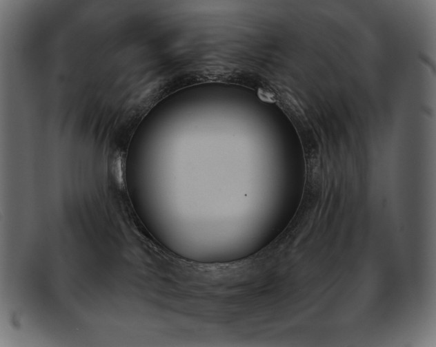 X0000093360042200710111502