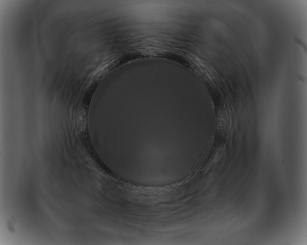 X0000093360043200710111502