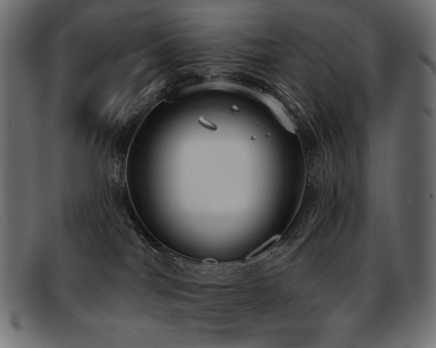 X0000093360044200710111502