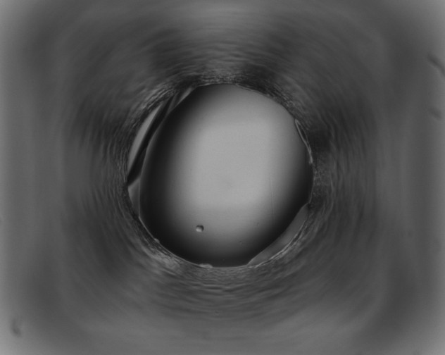 X0000093360045200710111502