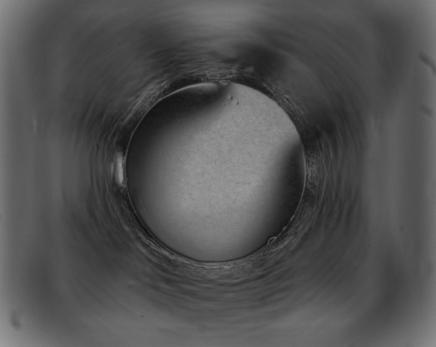 X0000093360046200710111502