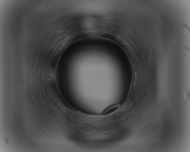 X0000093360048200710111502
